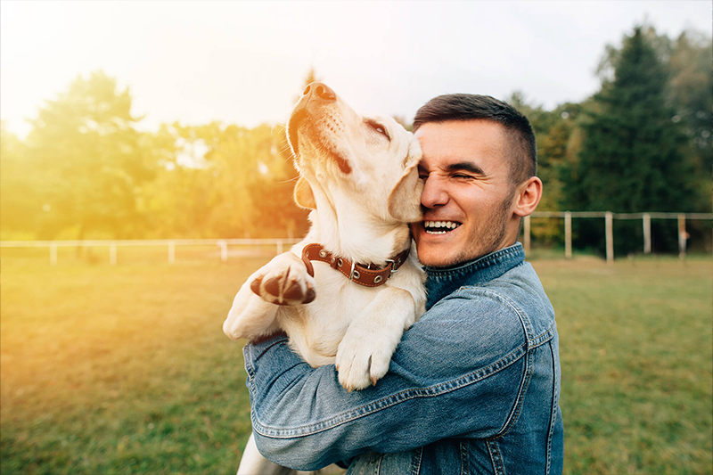 Canine Companionship: How Dogs Improve Our Physical Health