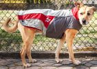 Helios Lotus-Rusher Waterproof 2-in-1 Convertible Dog Jacket w/ Blackshark technology